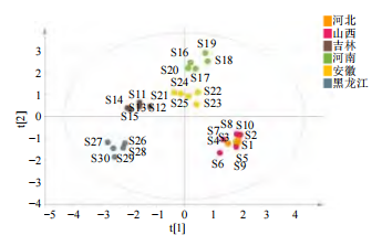 微信圖片_2025-11-21_170513_031